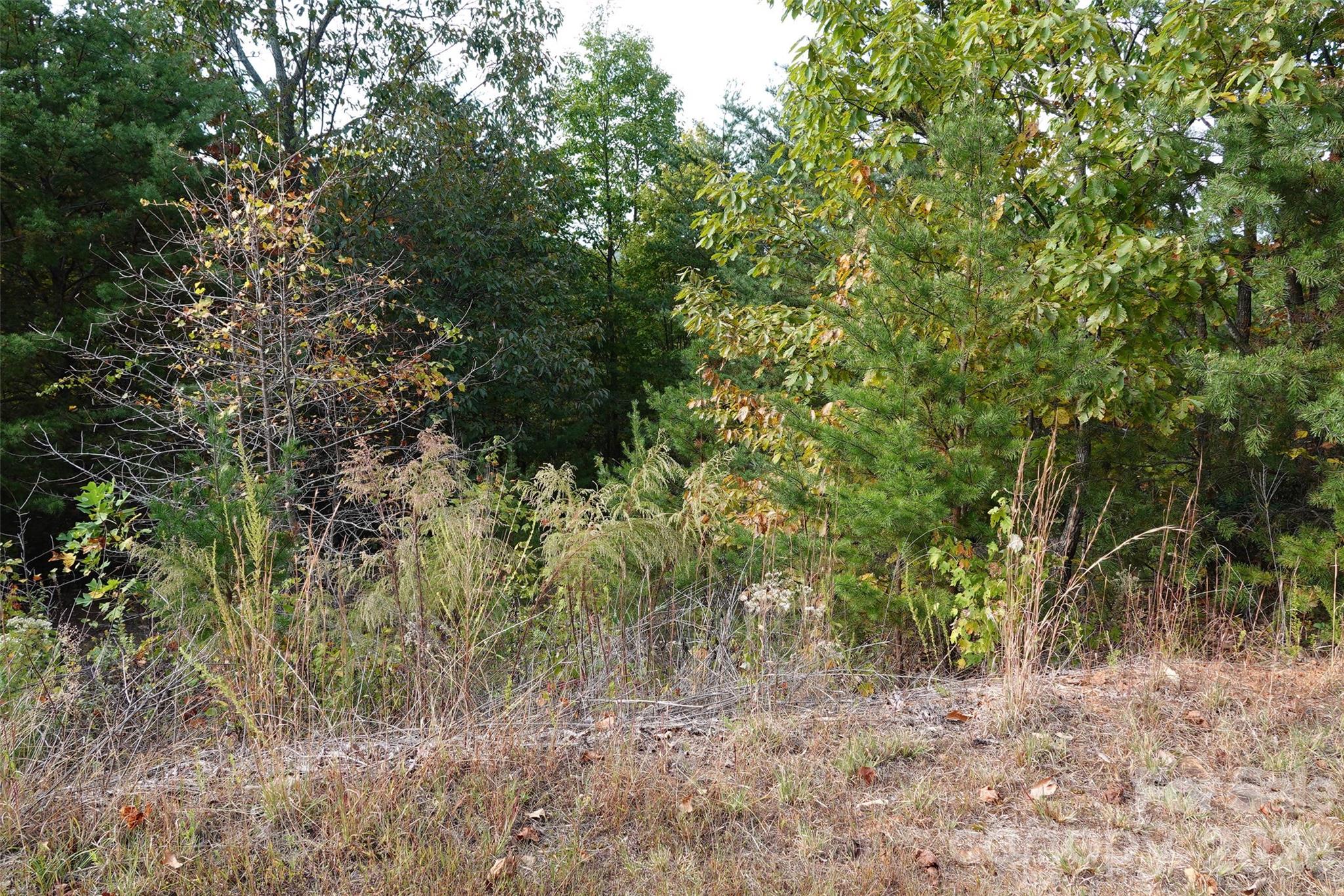 South Mountain Peaks - Land