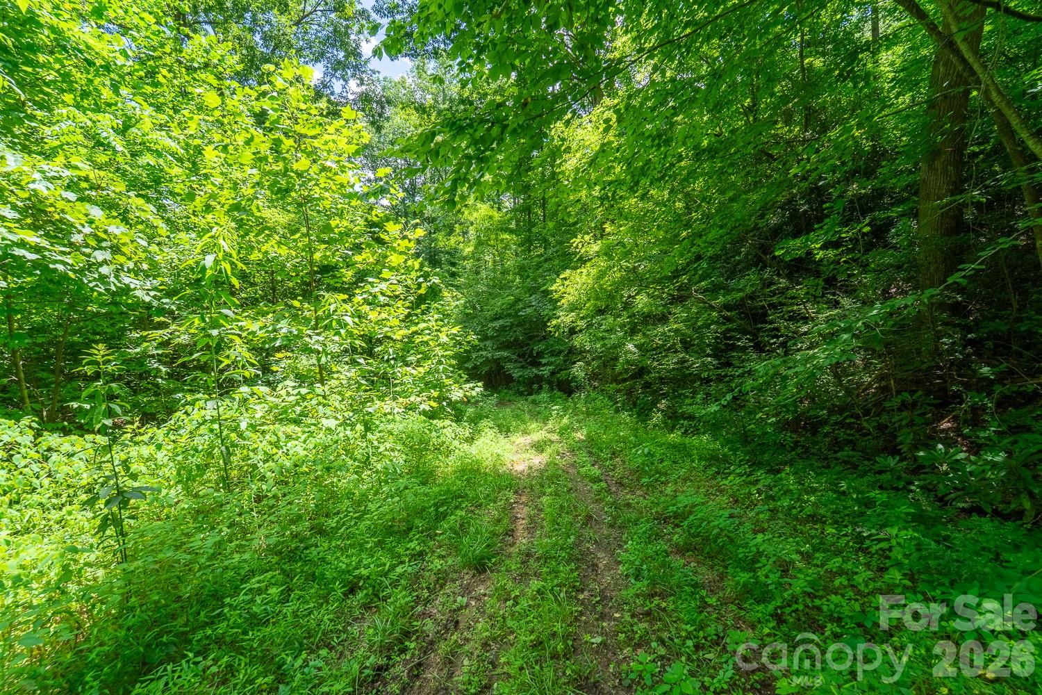 TBD Indian Flats Drive
