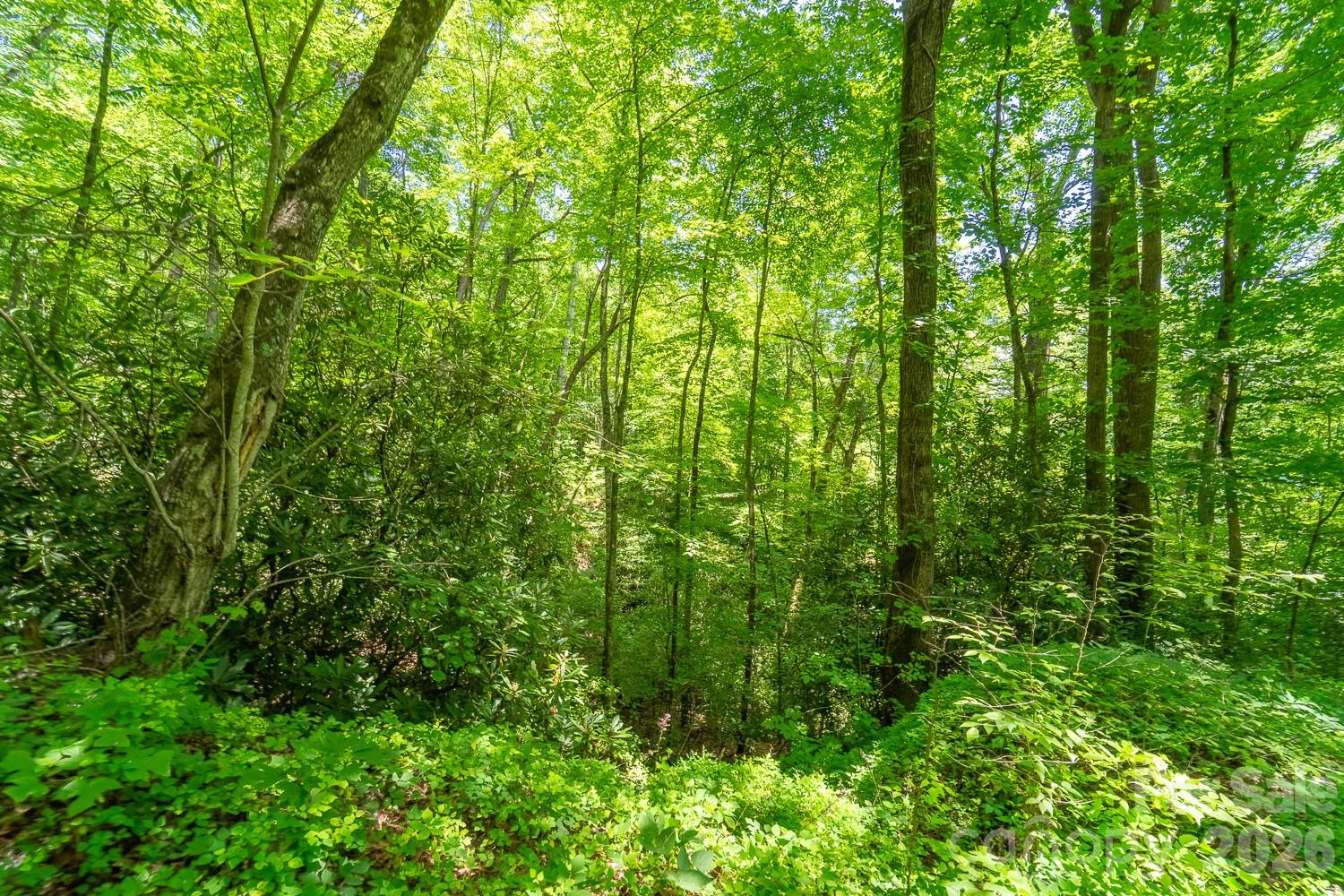 TBD Indian Flats Drive
