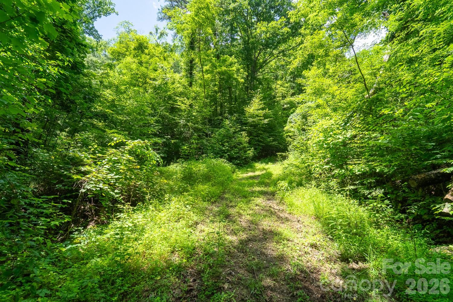 TBD Indian Flats Drive