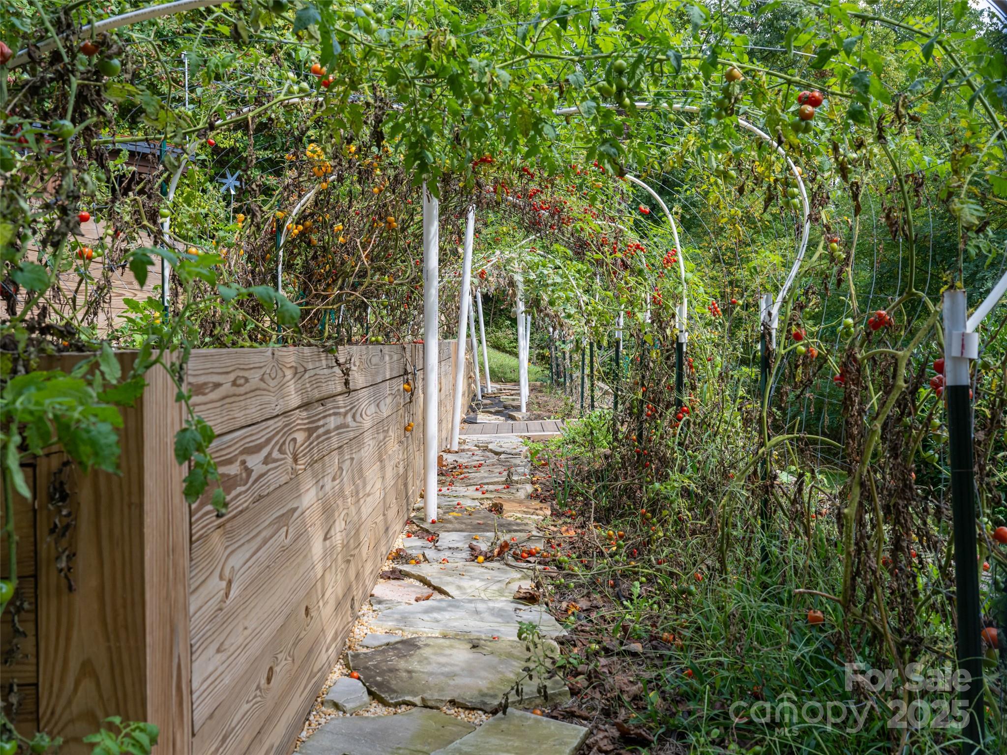 Bluffs At Curtis Creek - Residential