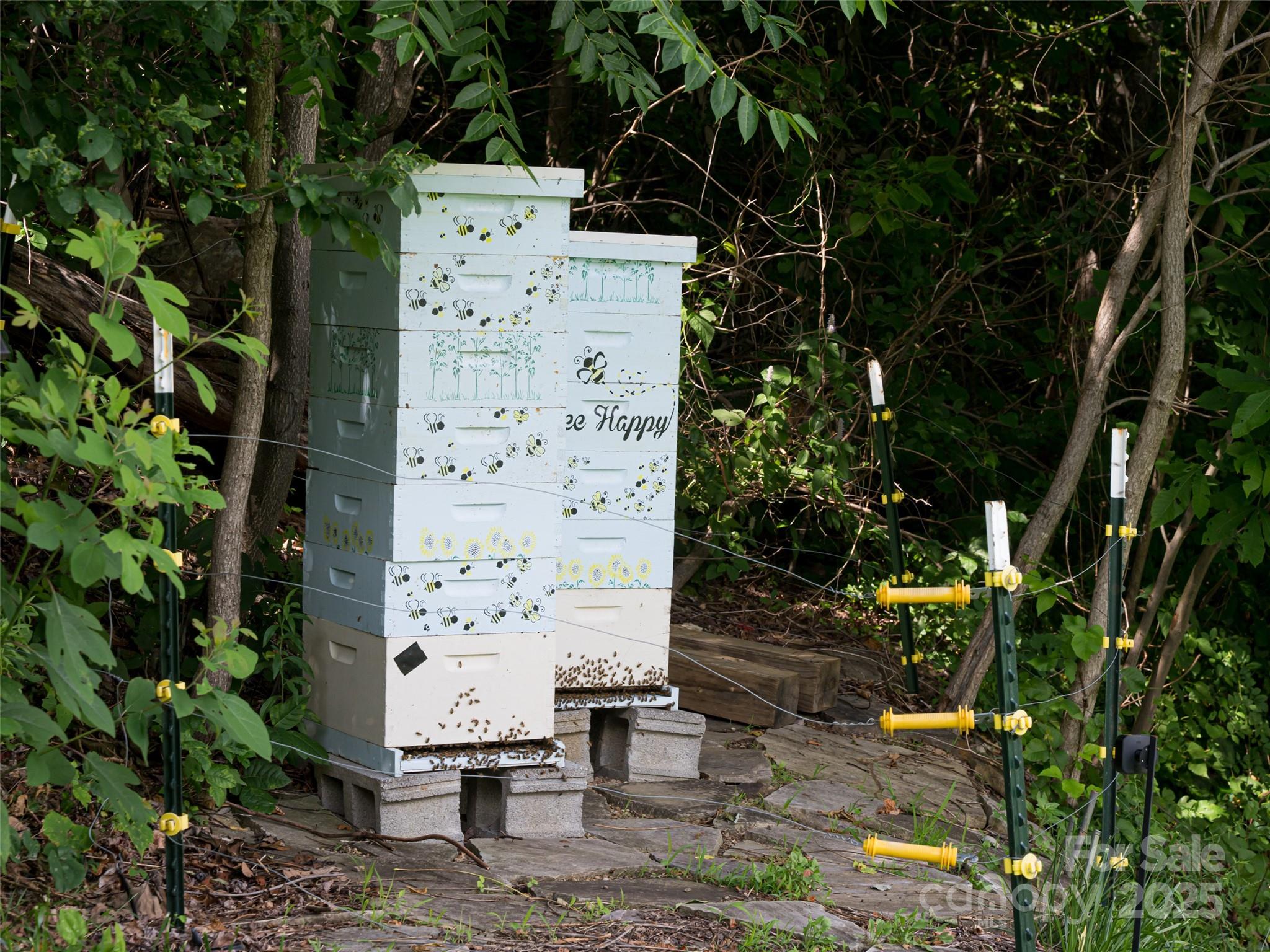 Bluffs At Curtis Creek - Residential