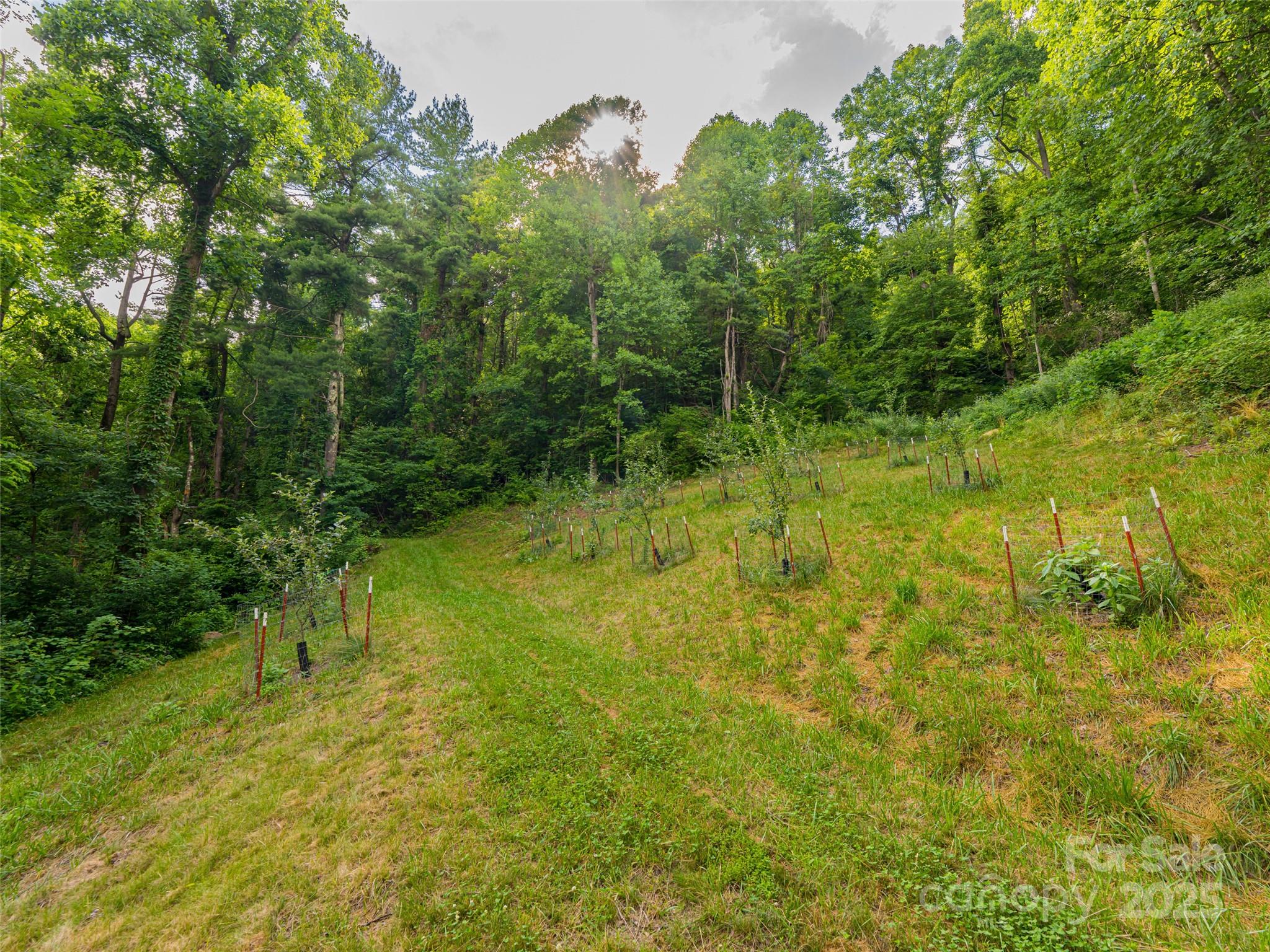 Bluffs At Curtis Creek - Residential