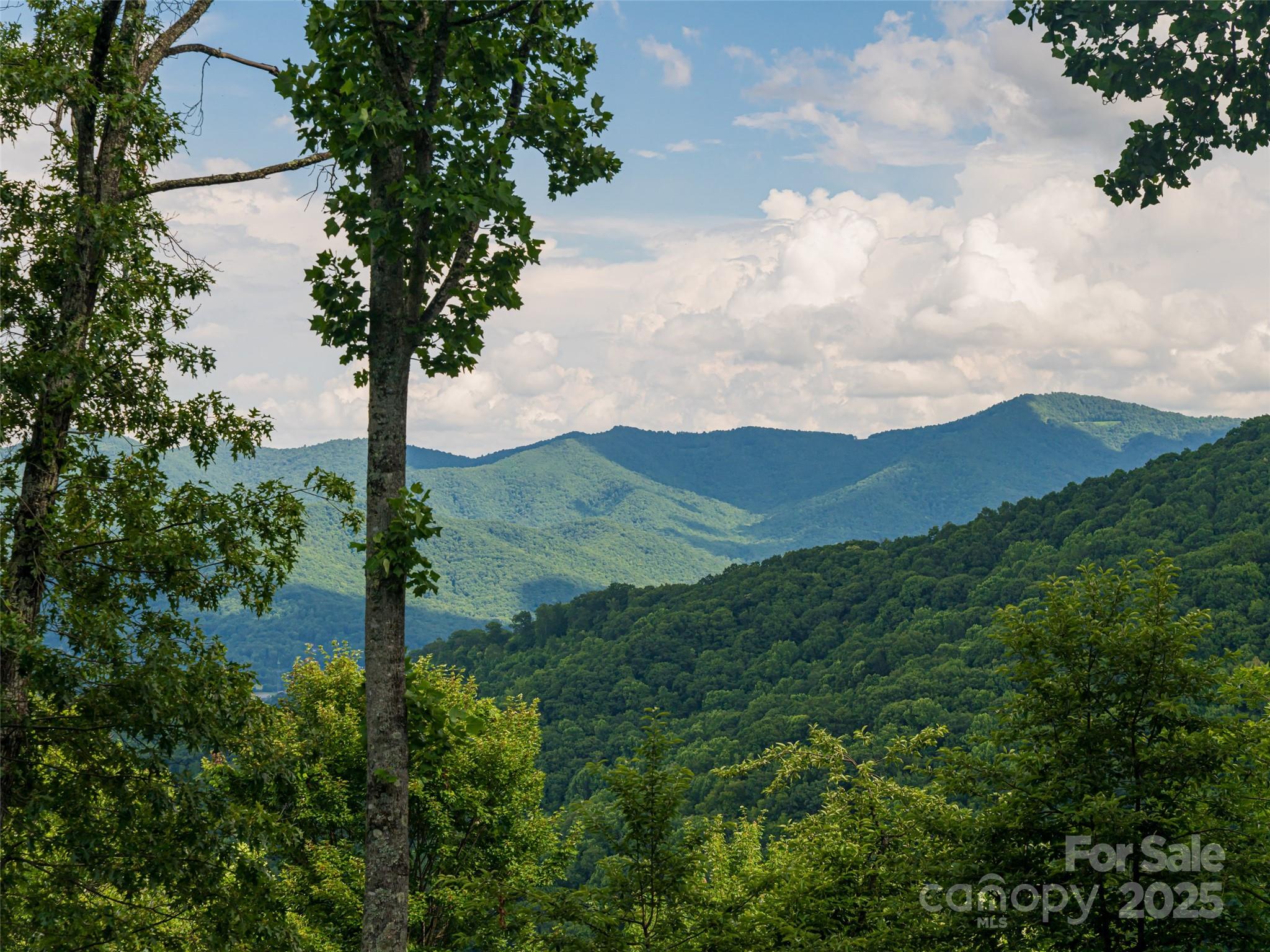 Bluffs At Curtis Creek - Residential