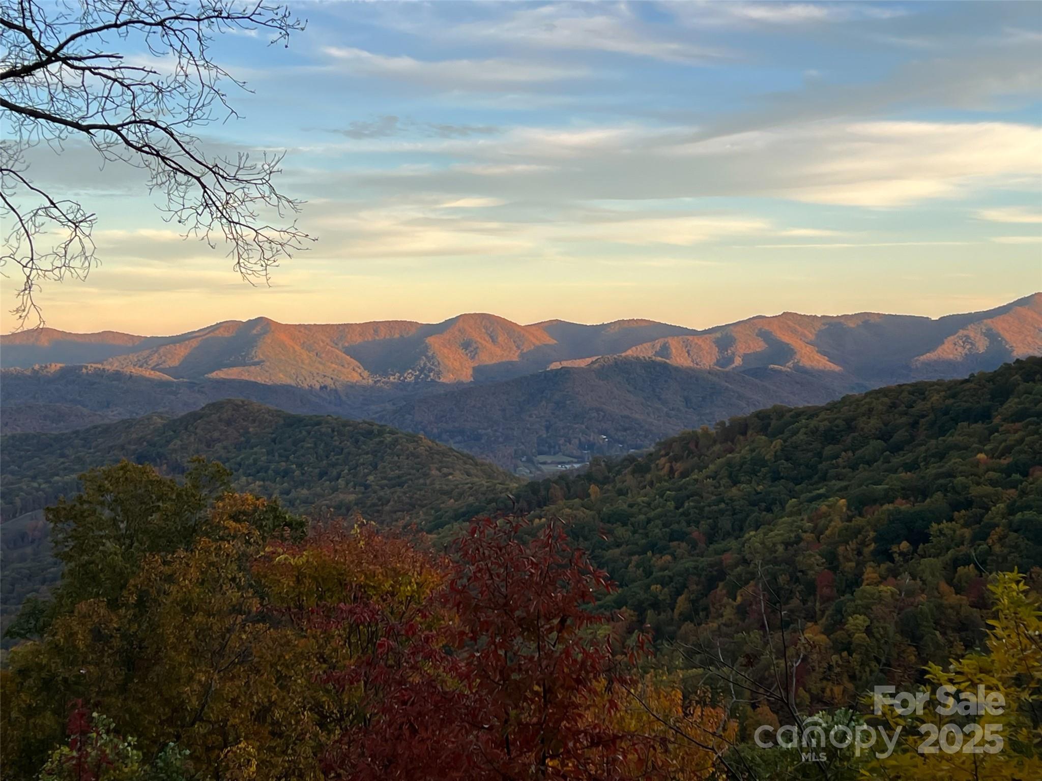 Bluffs At Curtis Creek - Residential