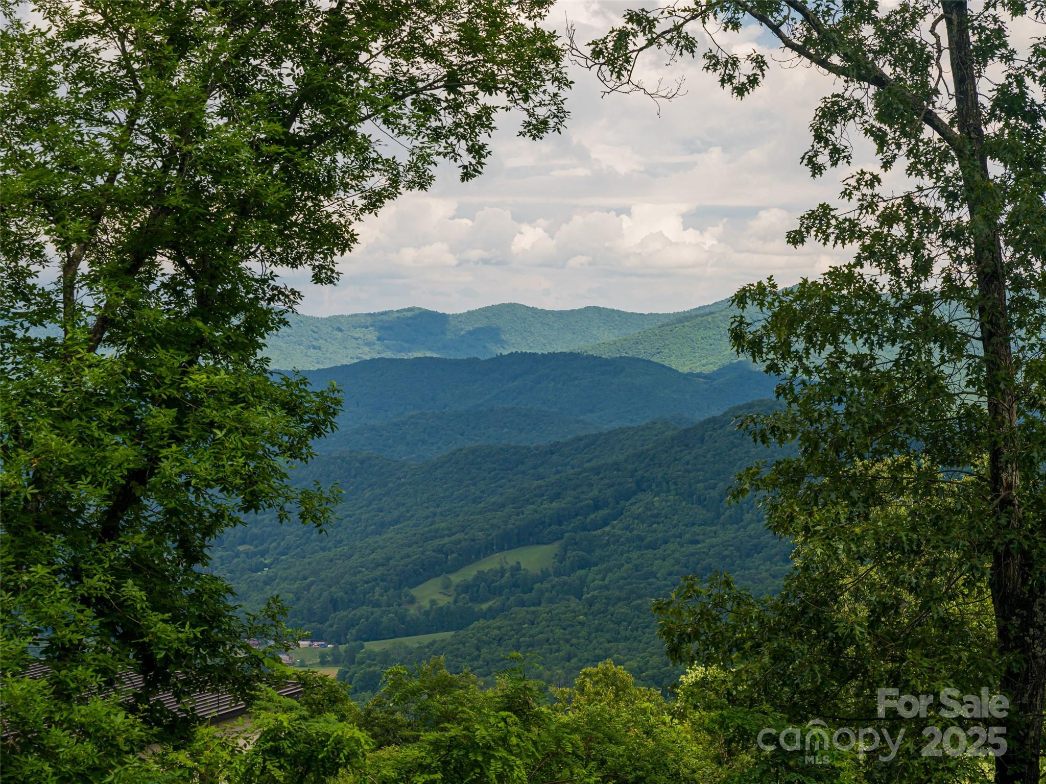 Bluffs At Curtis Creek - Residential