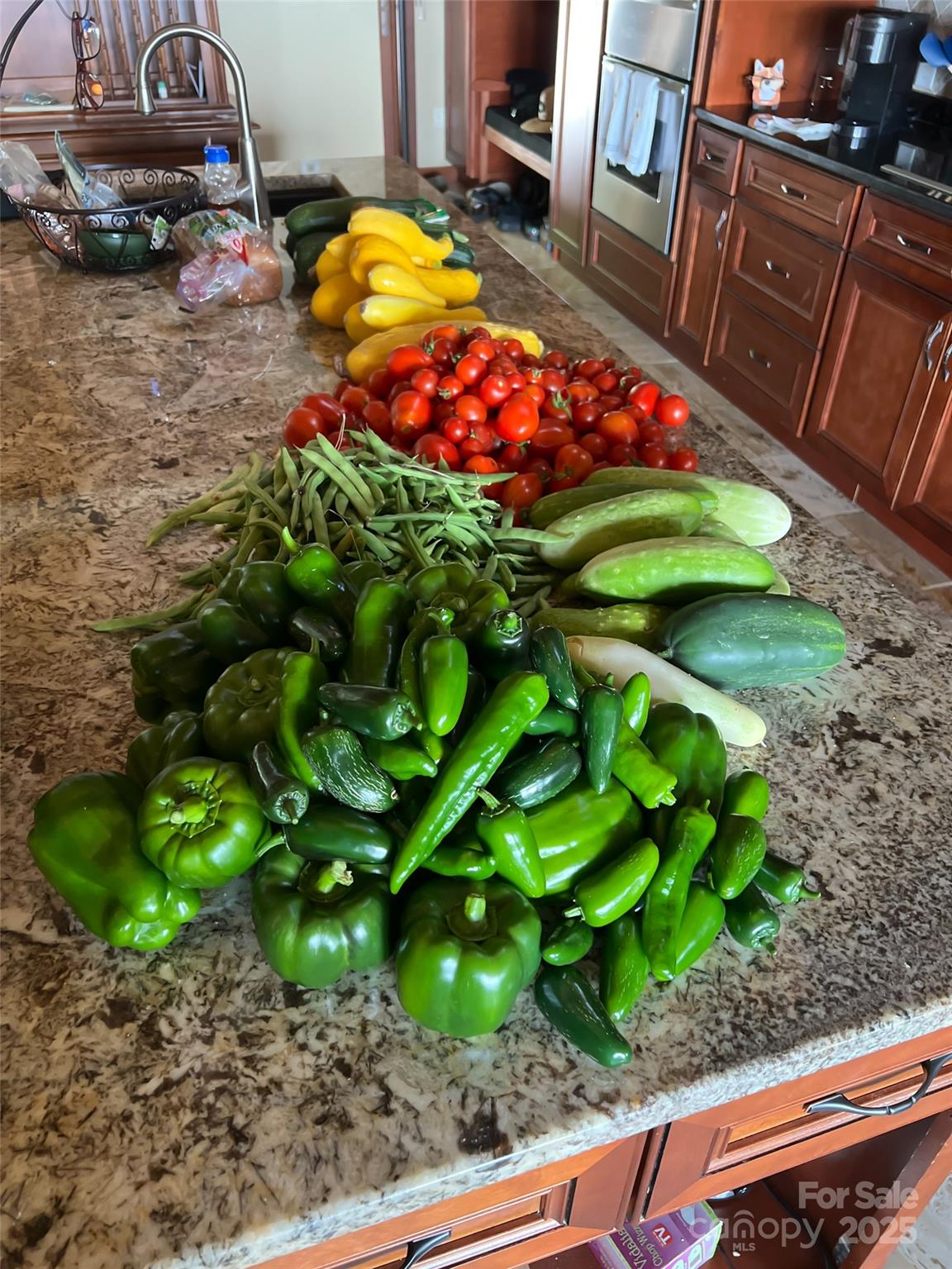 Bluffs At Curtis Creek - Residential
