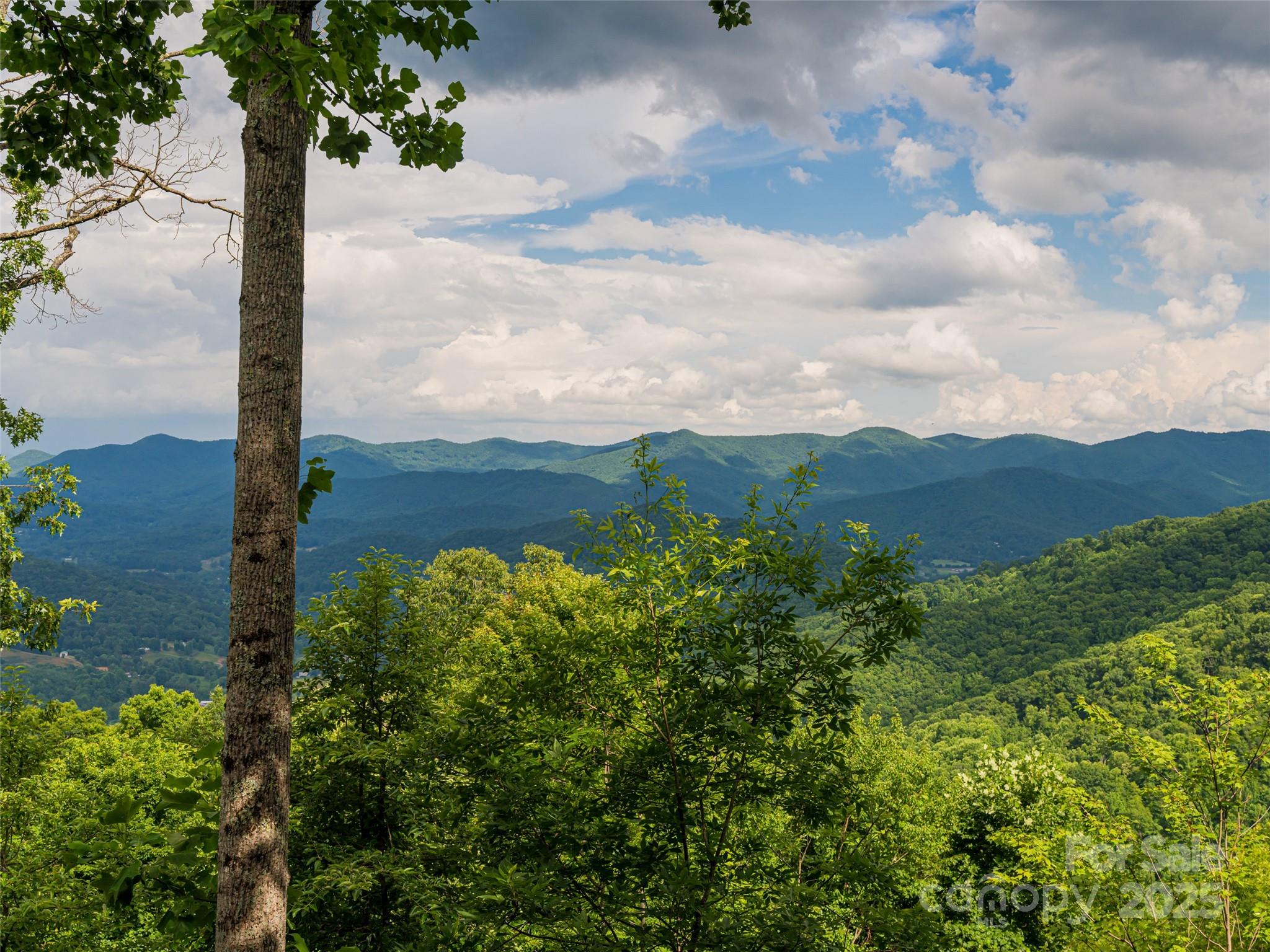 Bluffs At Curtis Creek - Residential