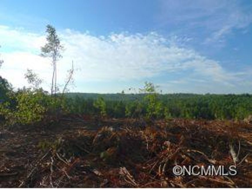 Large parcel with approximately 15 cleared acres in grass with some views of the Black Mountains.  Remainder recently select cut.  Great location for cattle or private homesite.  Road cut into property with stream separating about 20 acres.This parcel will be cut from larger tract of 180 acres.  Additional land available.  Taxes represent amount paid on total of 180 acres