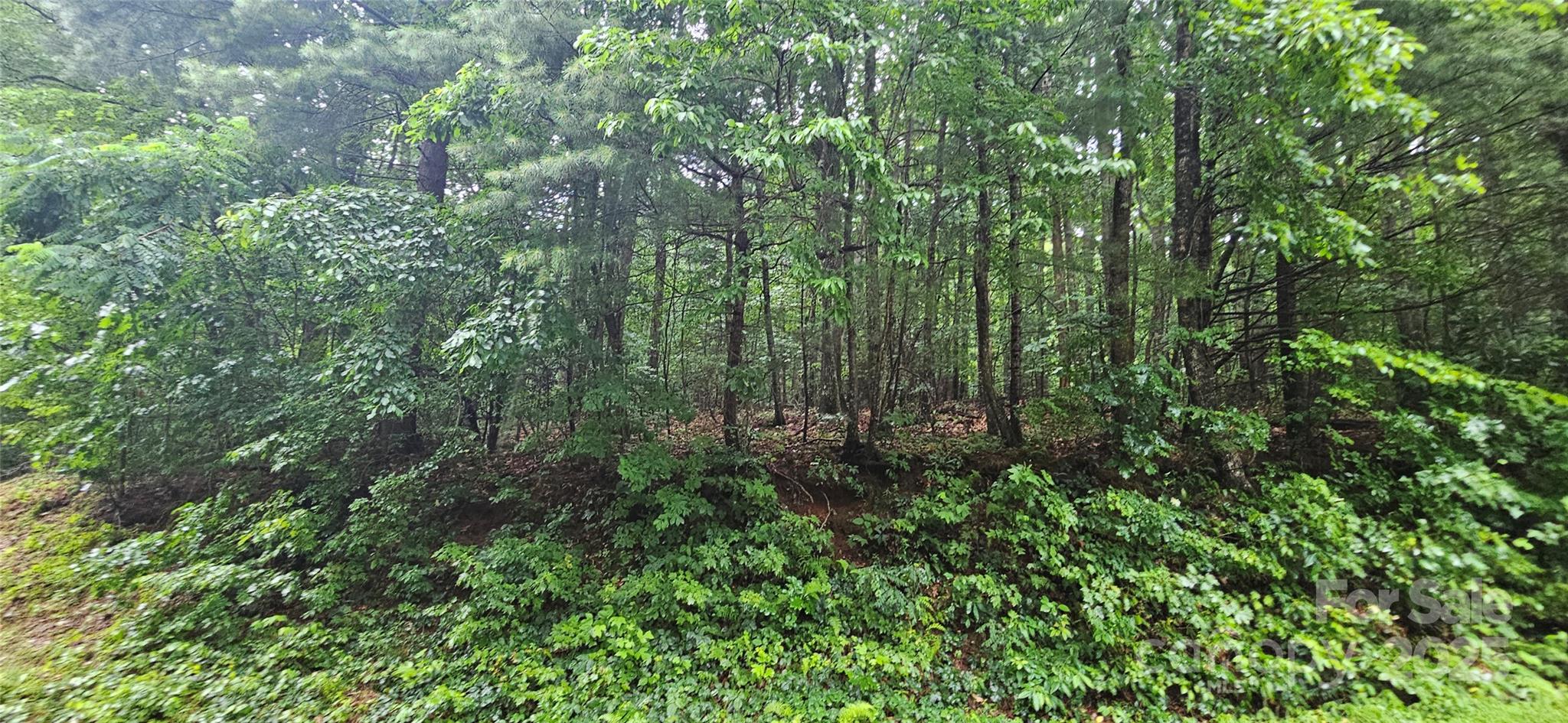0 Old CCC Road