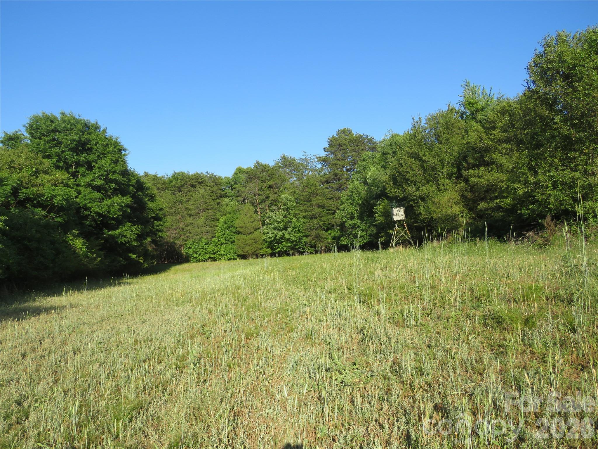 262 Flat Rock Road