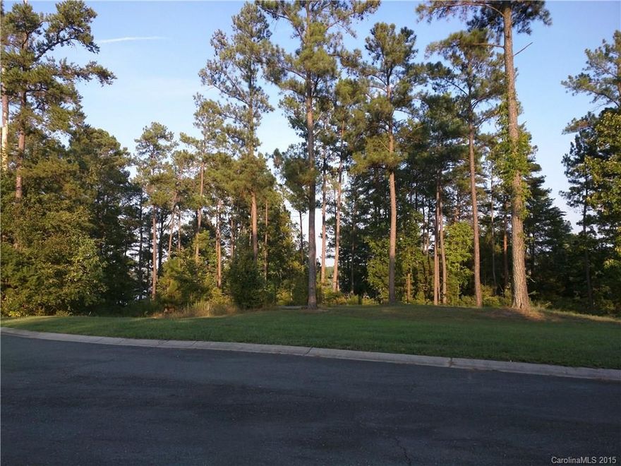 Gorgeous waterfront lot on Lake Wylie! Check out the view!  Not only waterfront, but also cul-de-sac lot! Located in York, SC but Clover School District!