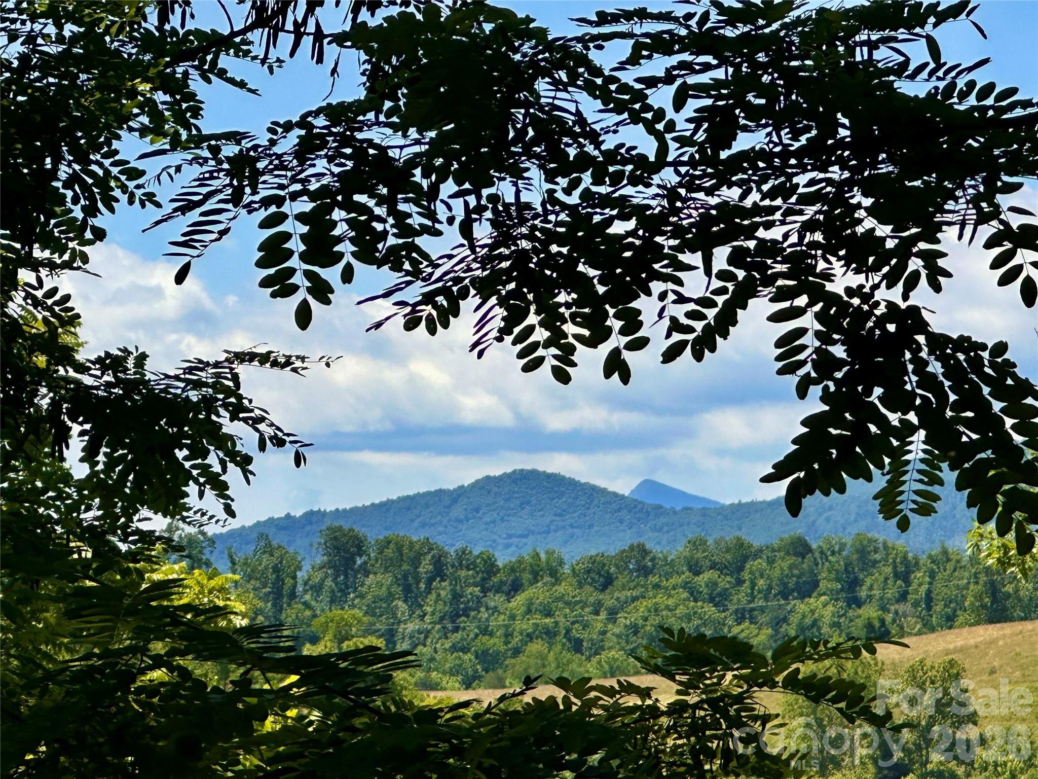 2825 Harrell Hill Road, Bakersville, NC, 28705