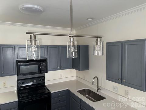 Photo of 19925 Weeping Water Run, Cornelius, NC 28031 (MLS # 4361885)