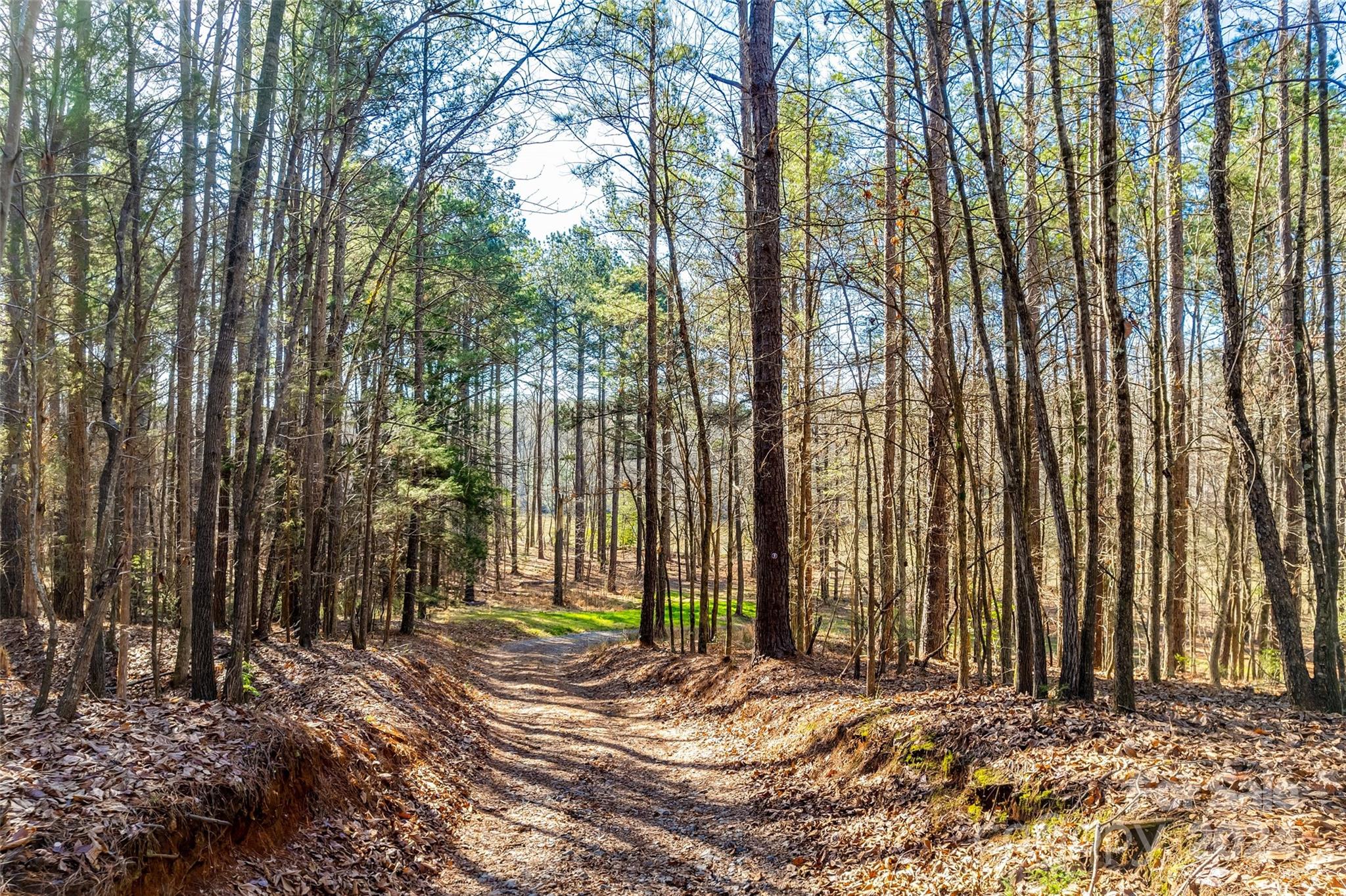 Riverchase Estates - Land