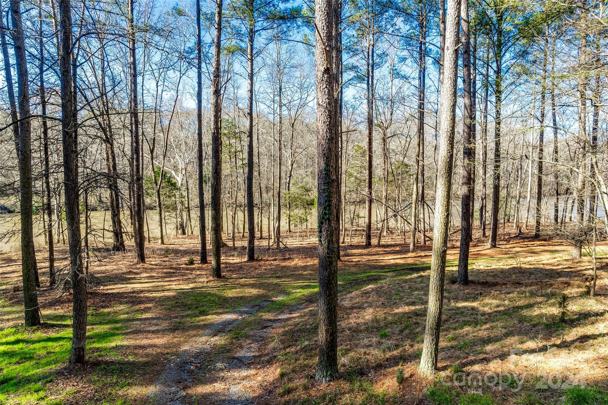 Riverchase Estates - Land