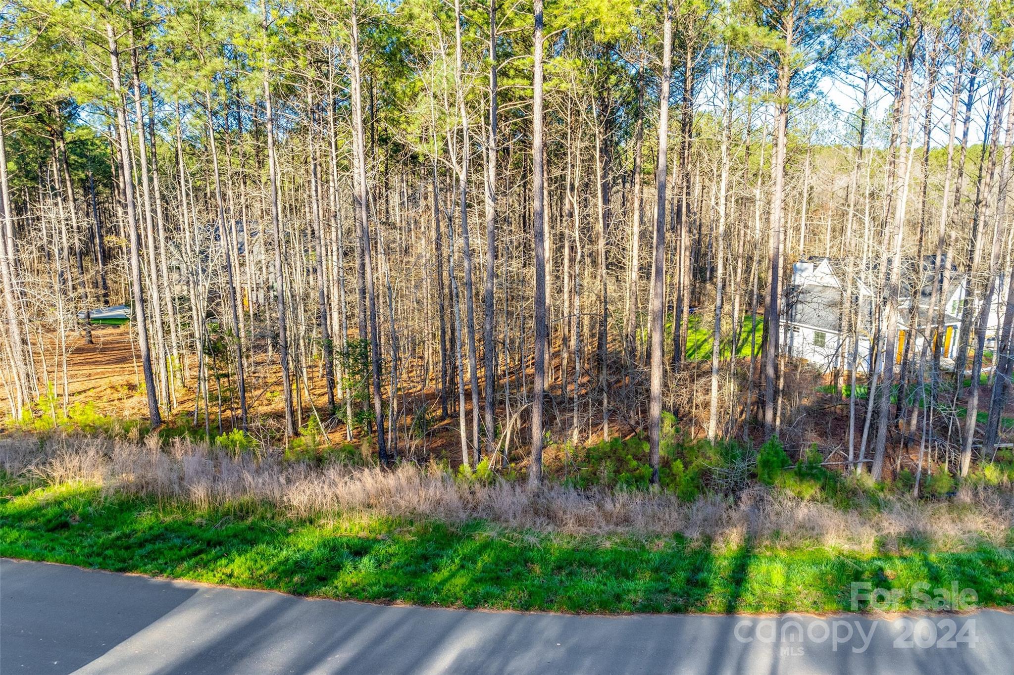 Riverchase Estates - Land