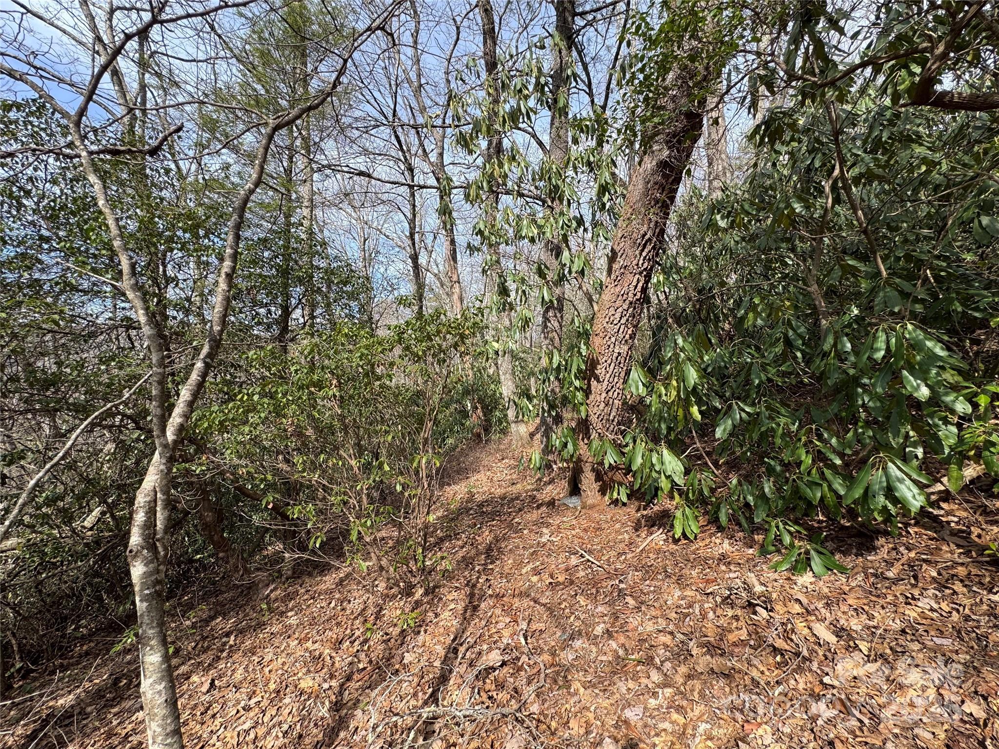 L2 Windy Gap Lane