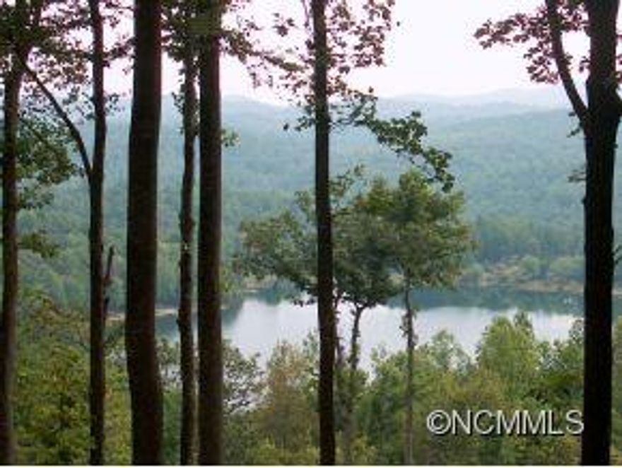 Breath taking views of Lake Sheila and surrounding mountains. Surrounded by 19,000 acres of preserved watershed. Privileges to the 28-acre private and pristine Lake Sheila for swimming, fishing, boating (no gasoline powered boats). Septic permit expired in 2007.Community water taps purchased already  available, a $8,000 value.