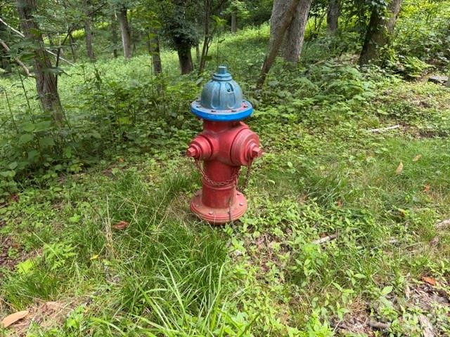 Lot 7 Gadohi Trail 7