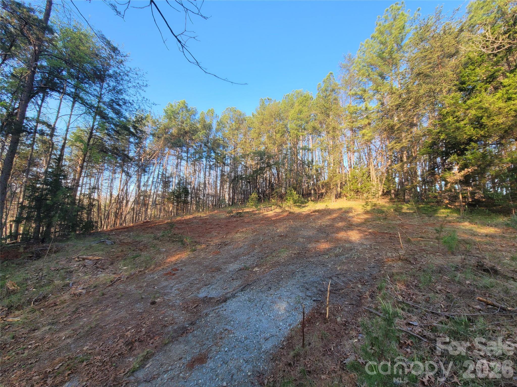 The Peaks at Lake Lure - Land