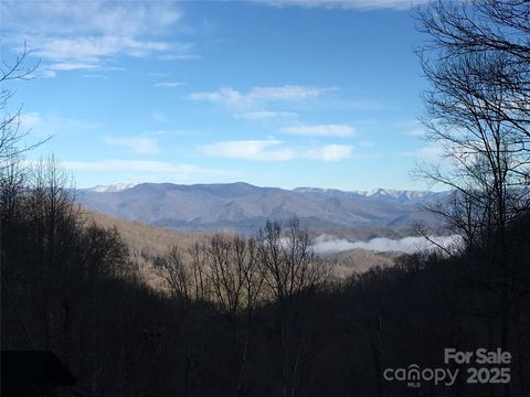 831 Forest Run Road Whittier NC 28789