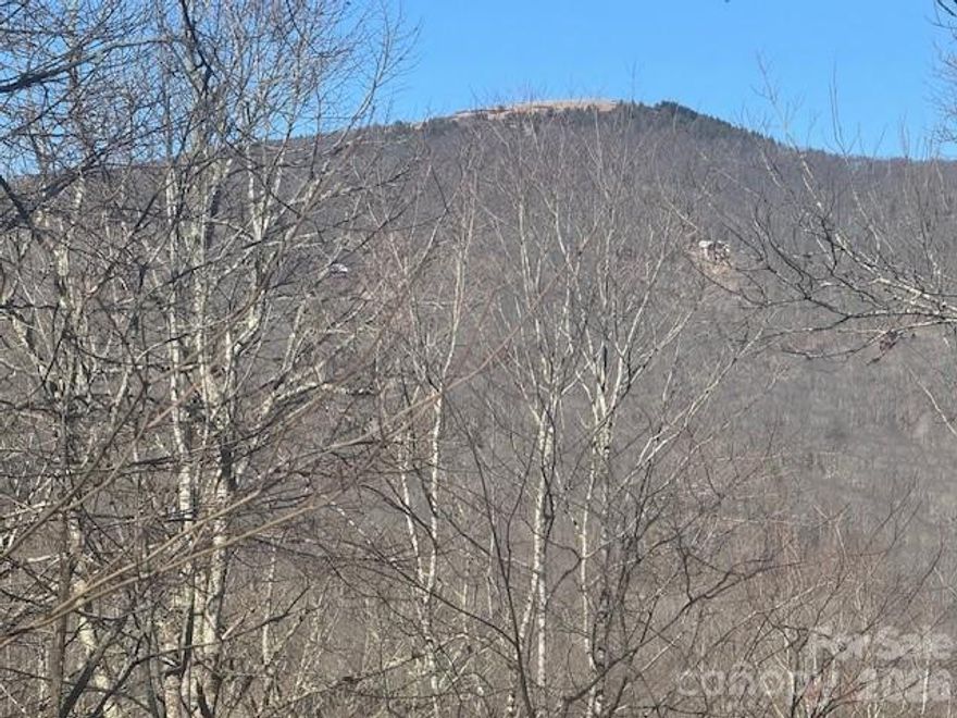 Great lot close to country club and paved access. Potential views of Bald Mountain with some tree trimming. Access property from Ginseng Lane, next to house #119 on the left side facing the views. Gentle to sloping lot should be a great lot to build on. Lot goes down to Zebulon Lane. Perfect spot for part or full time living.