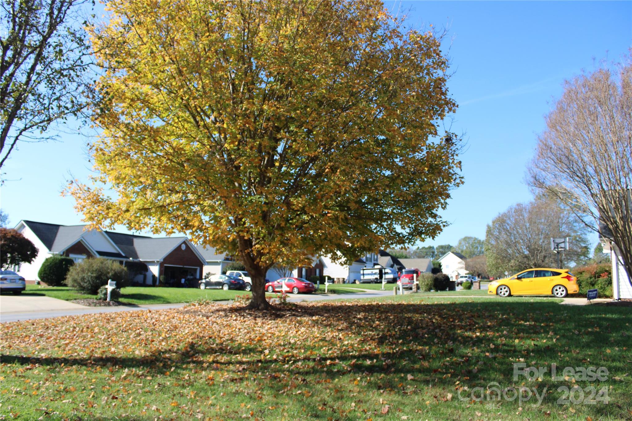 Chelsea Place - Residential Lease