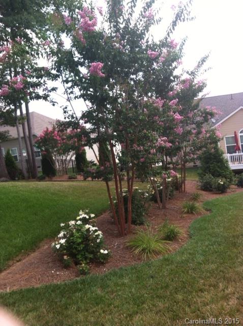 Cannon Crossing - Residential