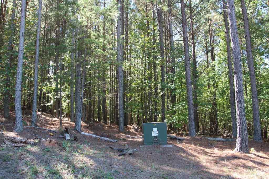 Paradise Harbor - Land