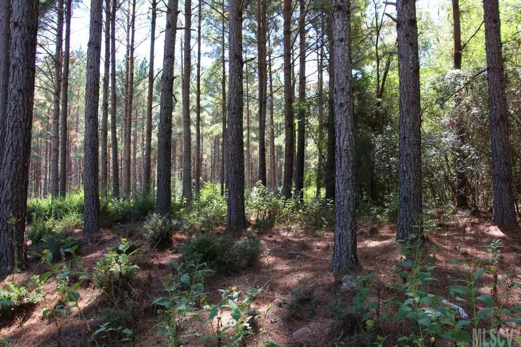 Paradise Harbor - Land
