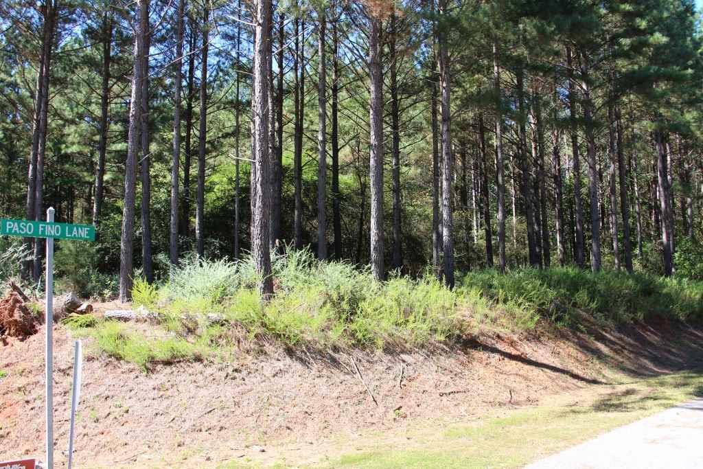 Paradise Harbor - Land