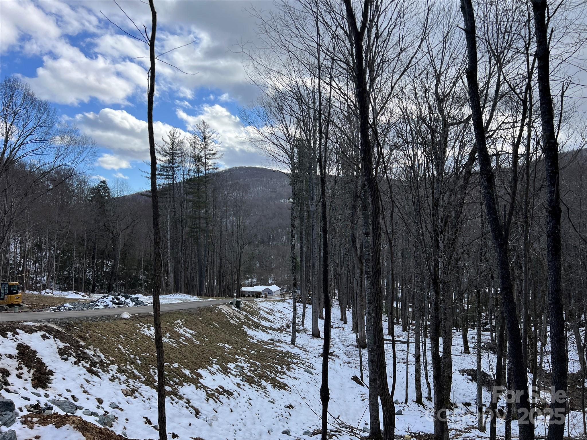 TBD (Lot 3) Poplar Forest Drive