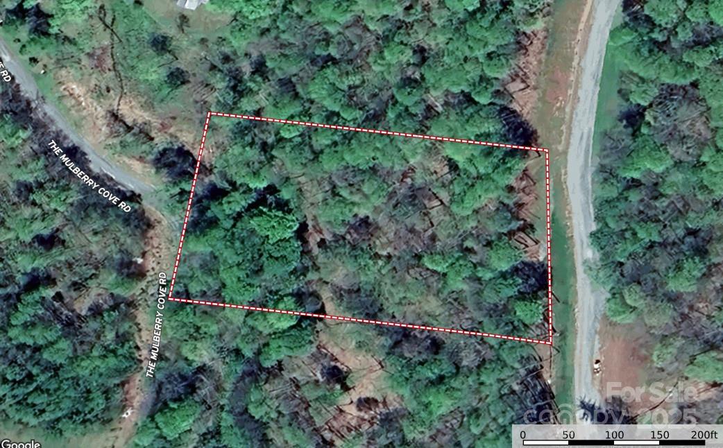 TBD (Lot 3) Poplar Forest Drive