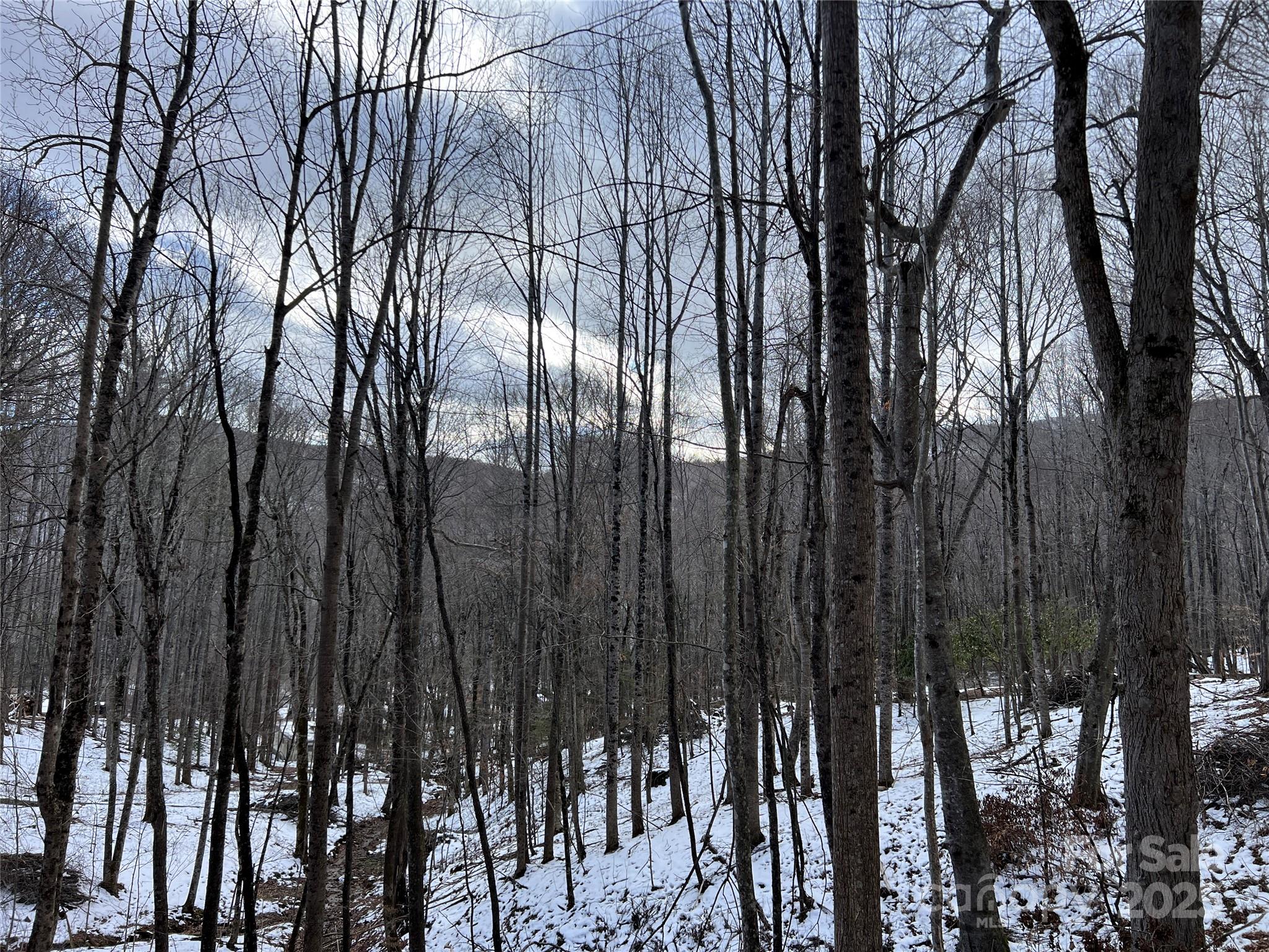 TBD (Lot 3) Poplar Forest Drive