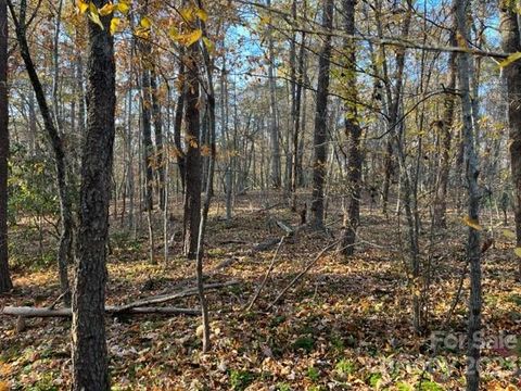 TBD Shady Lane Mill Spring NC 28756