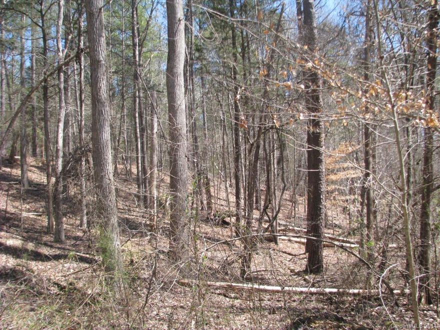 55 Acres on Sandy River in Lowrys area.  Rolling wooded property with 30 acres of planted pine with significant timber value.  Rest of land is hardwoods with two small wildlife openings.  Good paved frontage in nice rural area.  Stream crosses land near center and may offer ideal pondsite.  Drive in place with good woods road and culvert across stream to back hill.