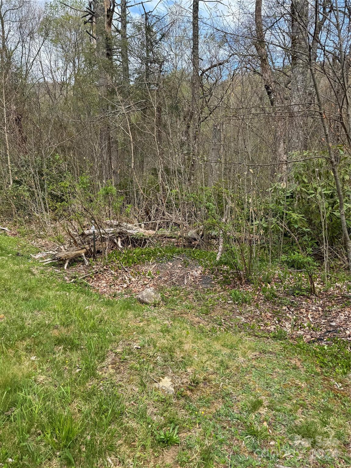 The Village at Grandfather - Land