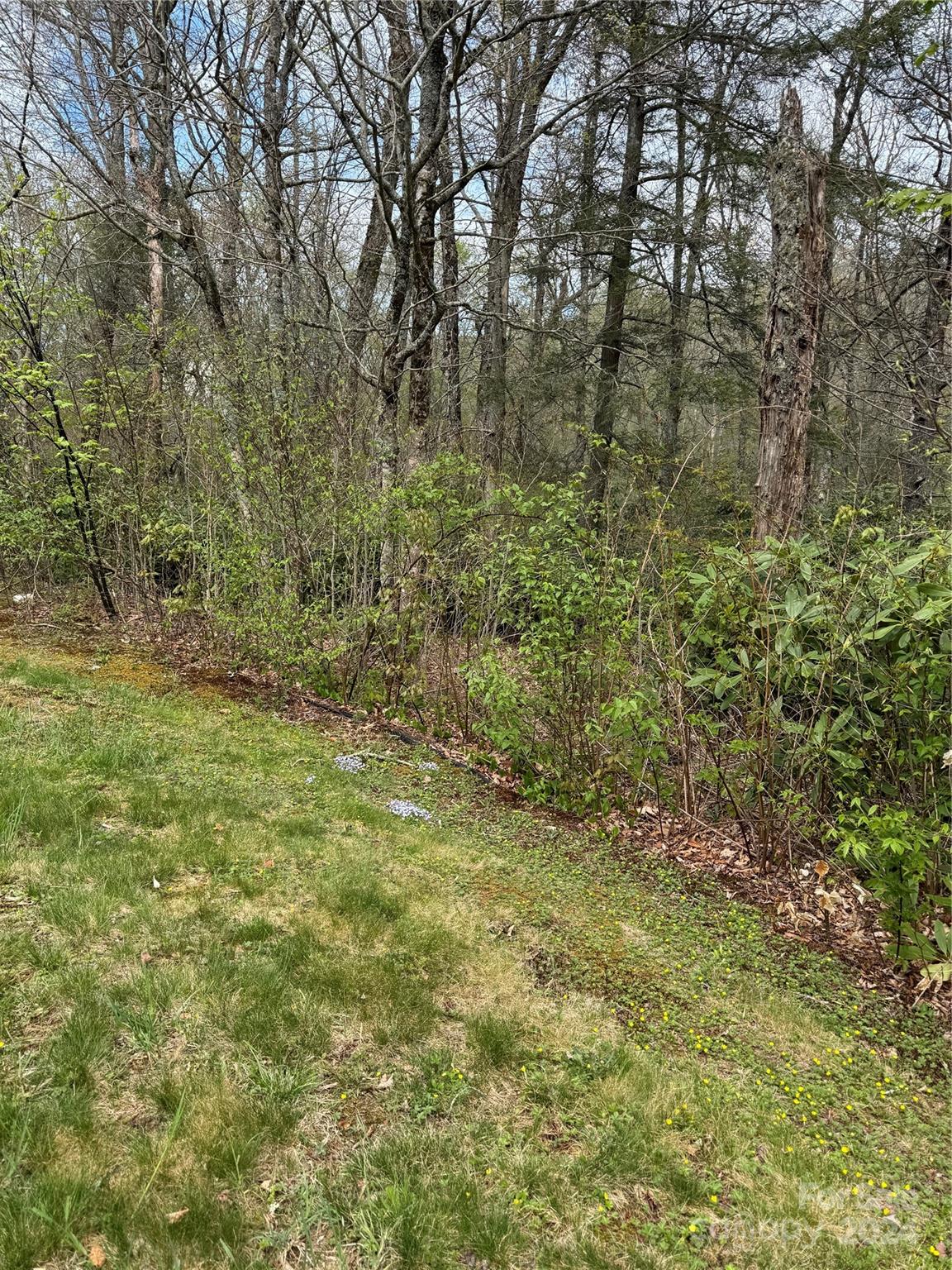 The Village at Grandfather - Land