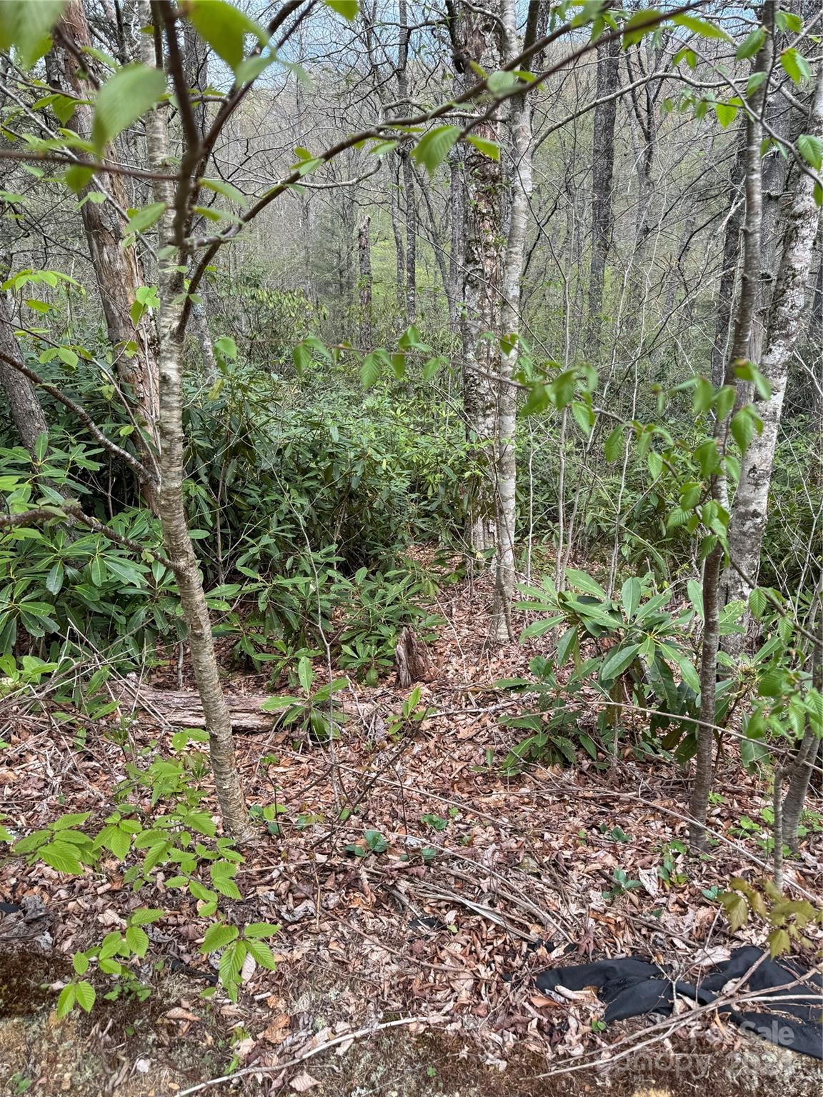 The Village at Grandfather - Land