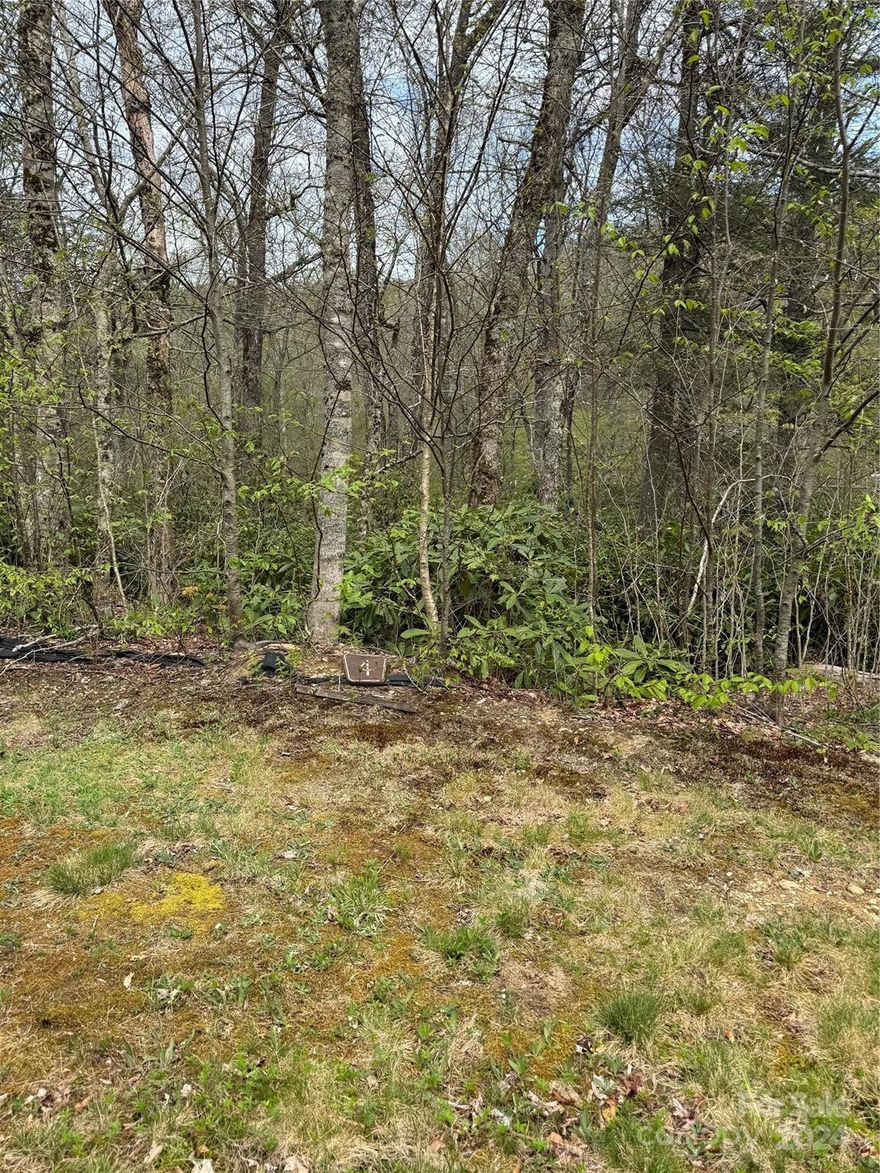 Take advantage of this chance to acquire two contiguous lots for the price of one! Located in The Village of Grandfather. You can opt to build on both parcels or create a single combined property. This area marks the head waters of the Linville River, and the community borders the Nature Conservancy for Grandfather Mountain. Nestled in the charming, Tyne-Castle area. Benefit from the amenities of a gated community with underground utilities, including natural gas. Conveniently stroll to nearby restaurants, grocery stores, and specialty shops. These properties are offered at prices below their appraised value, presenting a lucrative opportunity.