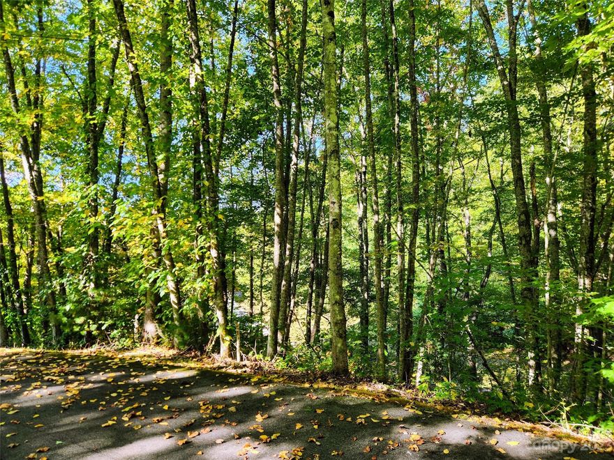 This Cottages lot in the Havenwood at Scarlet Oaks at Maggie Valley Club & Resort enjoys a great setting amongst old growth trees and large rock outcroppings. This is a great opportunity to own a lot to build a turnkey vacation home/residence. Golf cart from this lot to the clubhouse, 18-hole gorgeous golf course, outdoor pool/hot tub, etc. Preferred builder is ready to assist you realize your WNC mtn retreat, or bring your own builder/plans. 1200 sq ft min. Underground utilities, city water/sewer, Spectrum internet. With ownership you'll have membership at MVCR from day1, and will be able to enjoy the various amenities(tennis/pickleball courts, fitness center, walking trails, etc.).