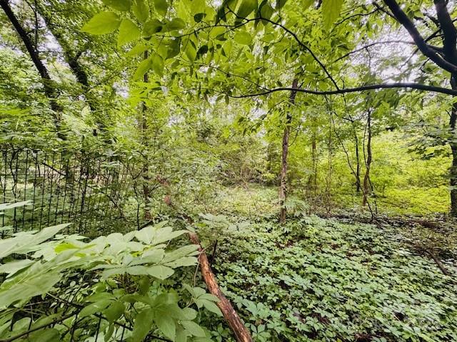 Wilson Heights - Land