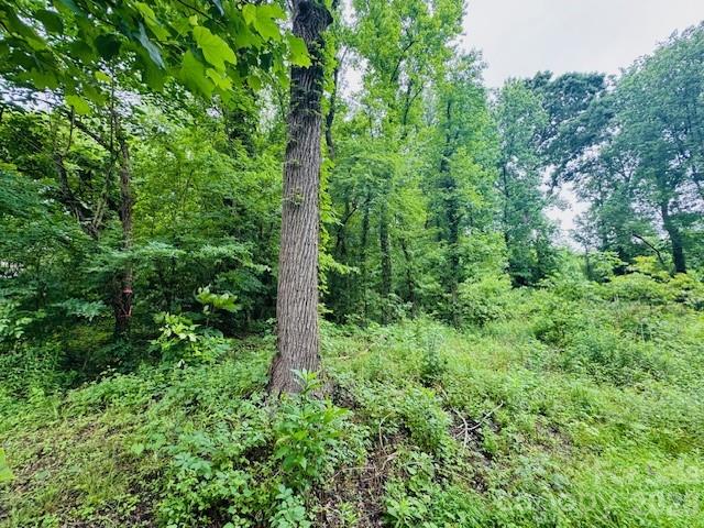 Wilson Heights - Land