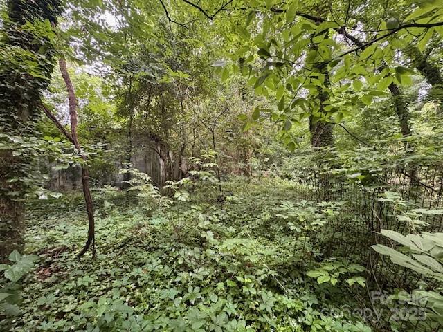 Wilson Heights - Land