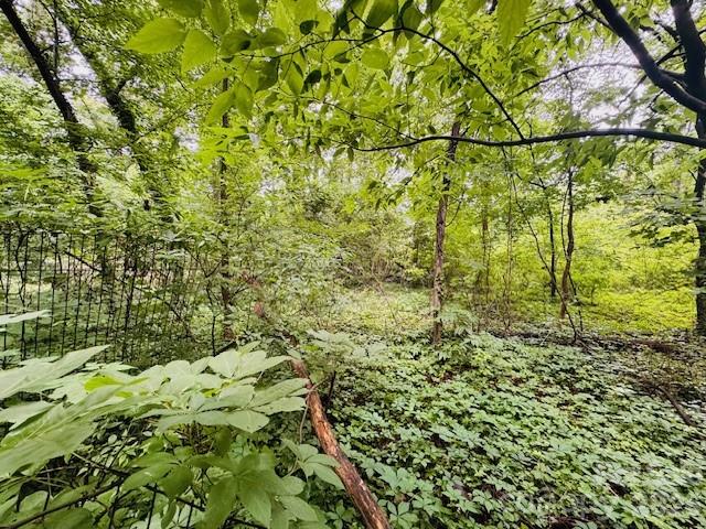 Wilson Heights - Land