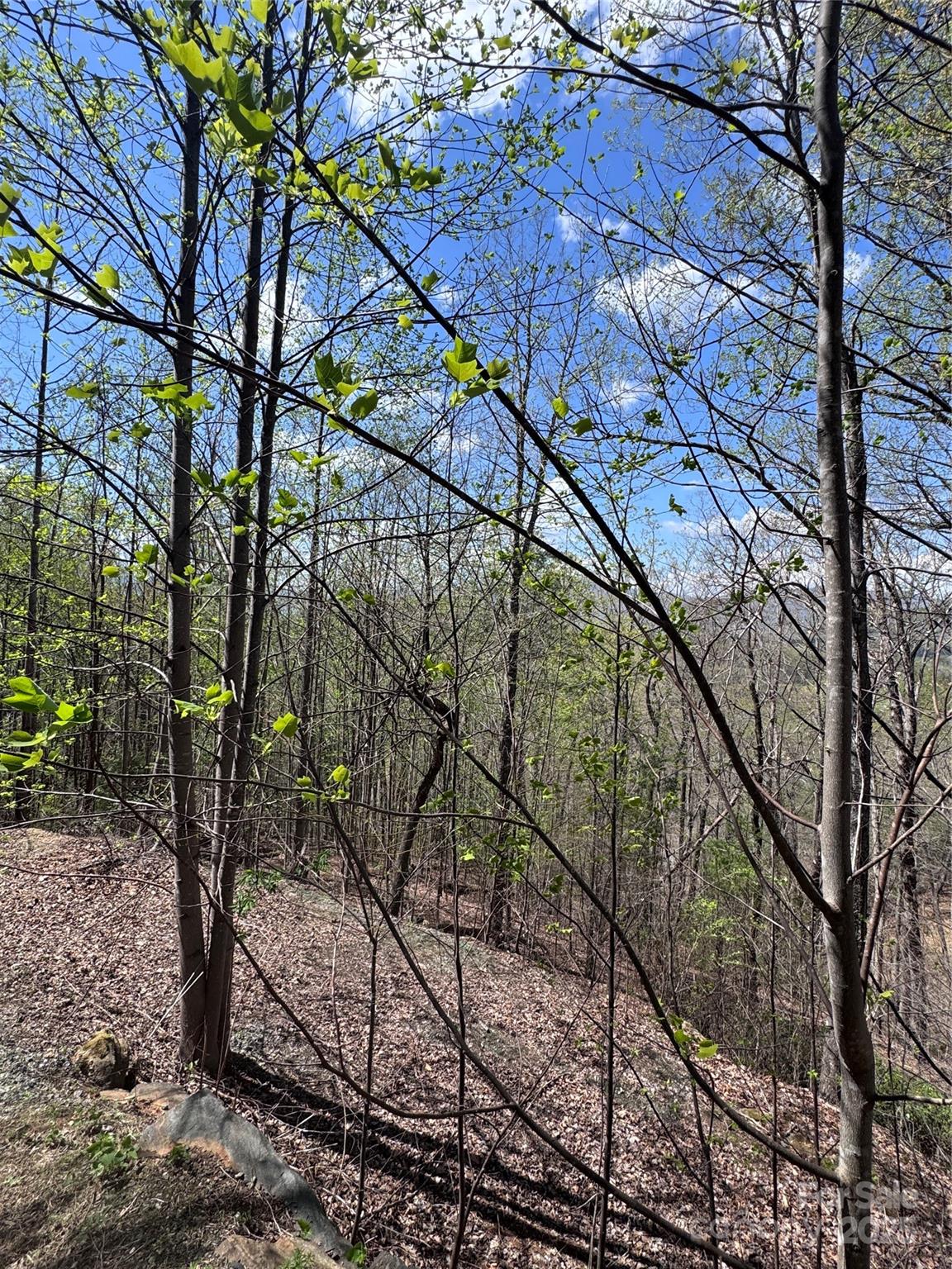 Vista At Bills Mountain - Land