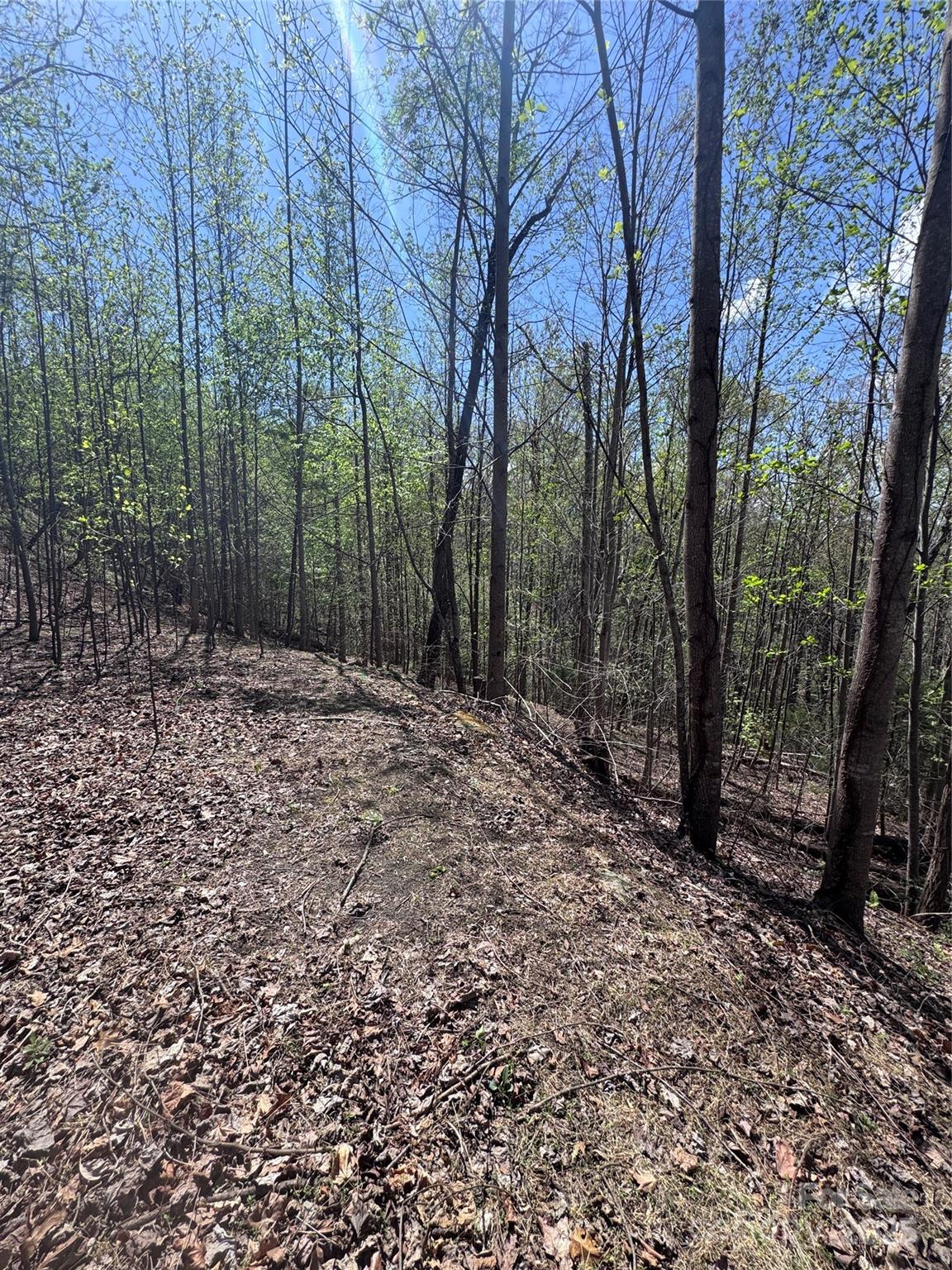 Vista At Bills Mountain - Land