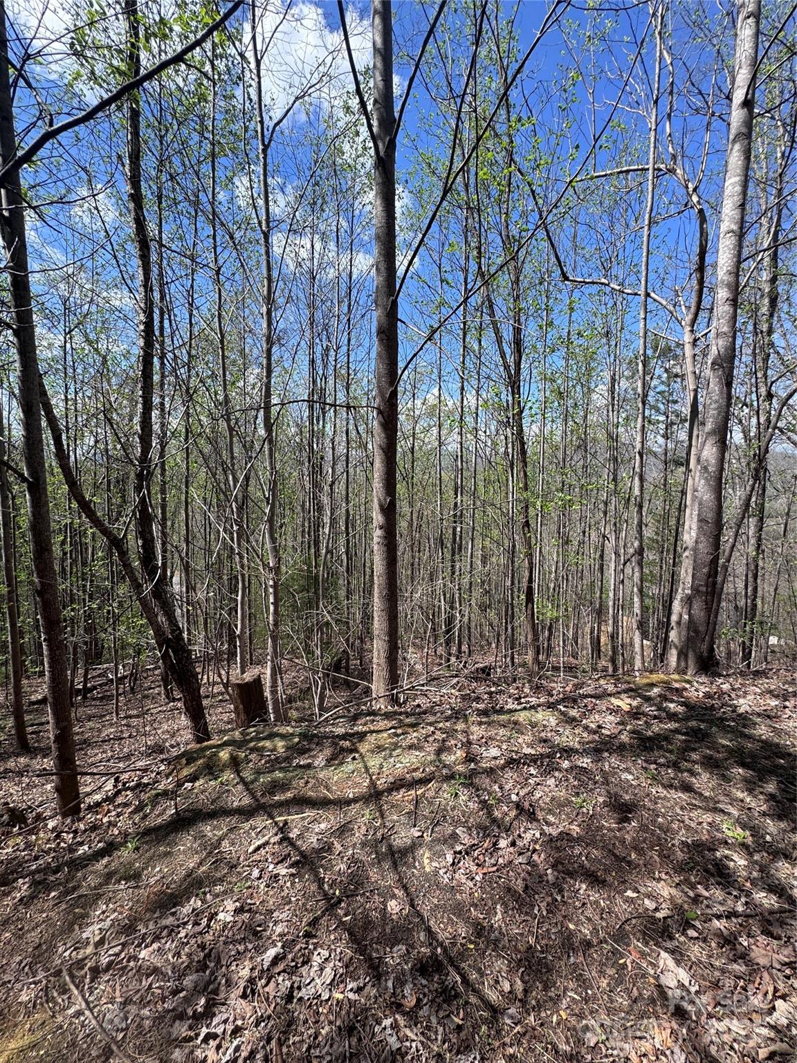 Vista At Bills Mountain - Land