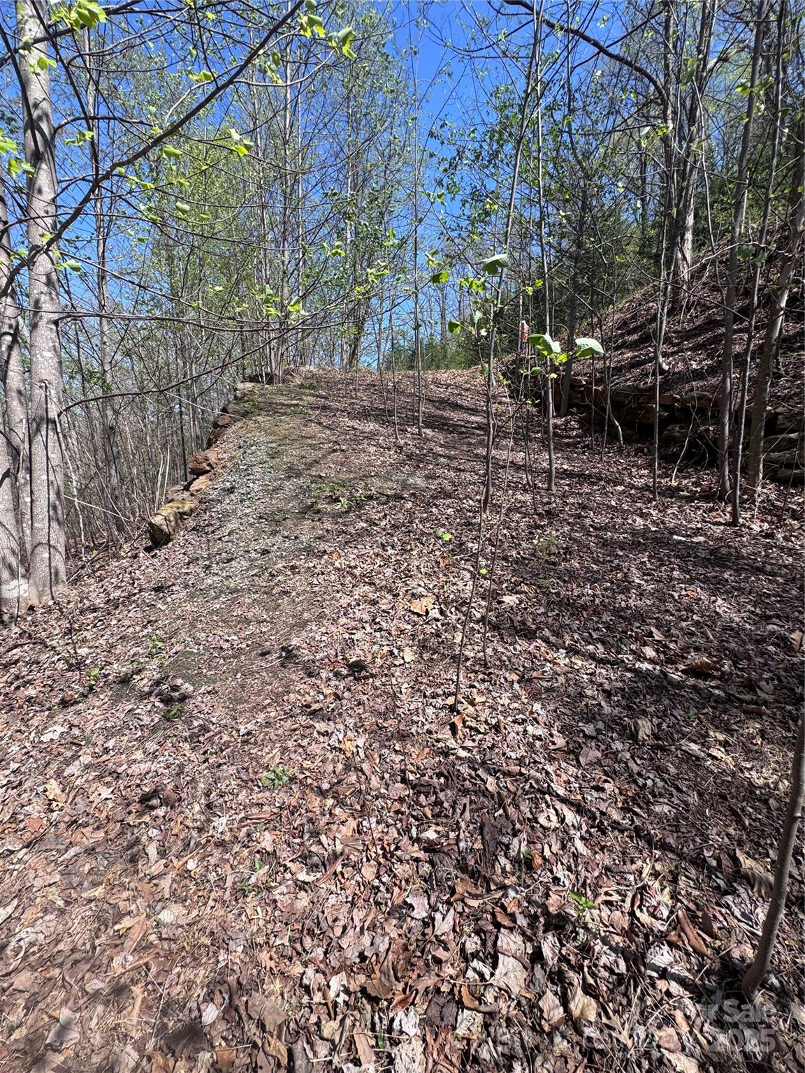 Vista At Bills Mountain - Land